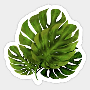 Monstera leafs Sticker